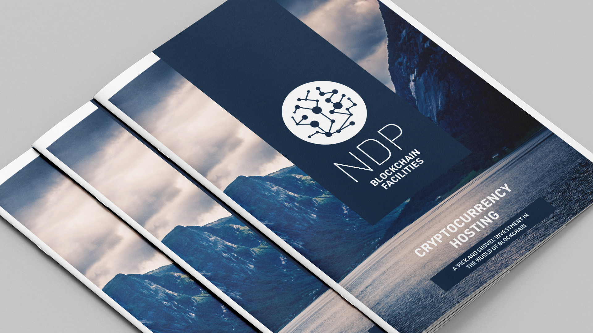 NDP Branding & Brochure
